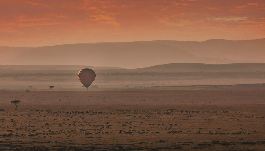 Air Balloon In African Lowlands Photograph by Buena Vista Images