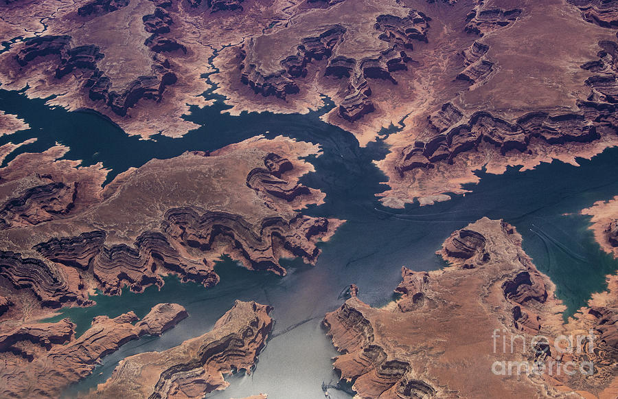 Air View of Lake Powell Photograph by Mae Wertz
