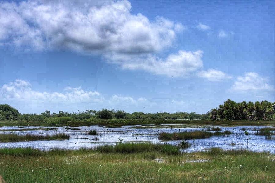 Airboat ride in Belize Photograph by William E Rogers - Pixels