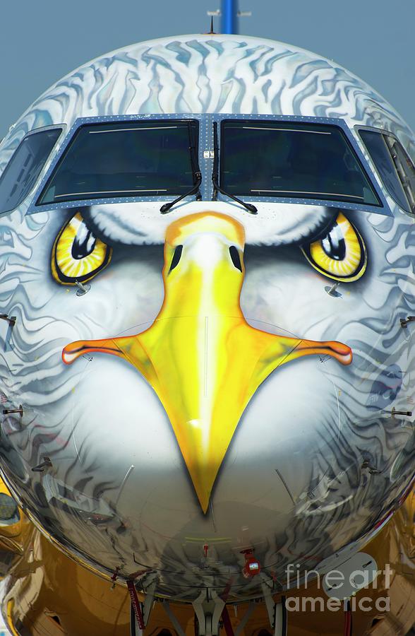 Aircraft Eagle Face Photograph by Mark Williamson/science Photo Library