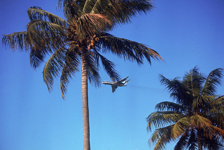 Airplane Above Miami Photograph by Mark Kauffman