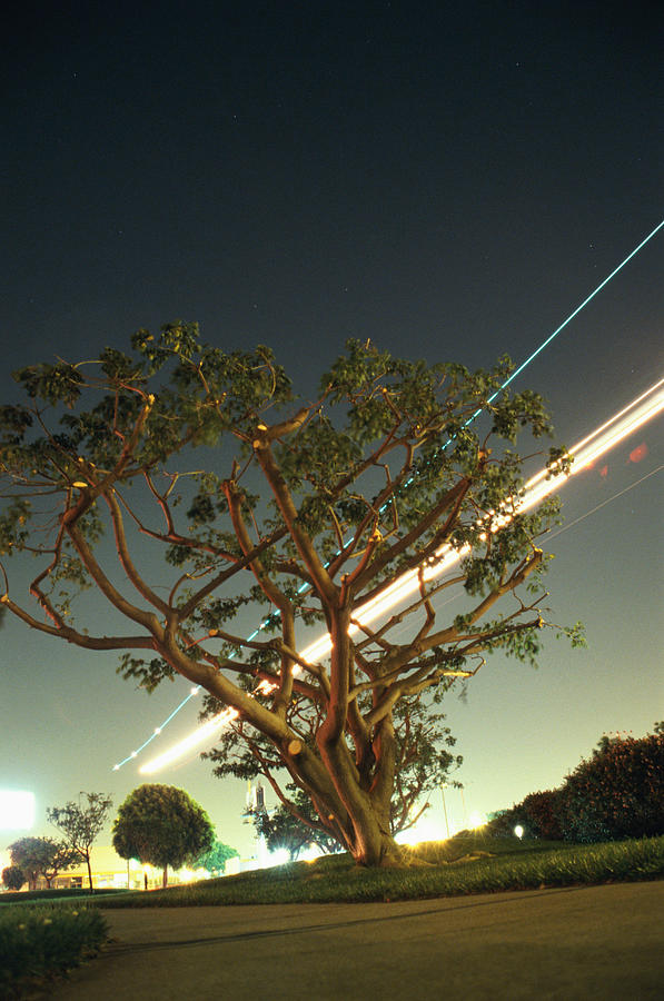 Airplane Coming In For Landing At Night Photograph by Paul Taylor