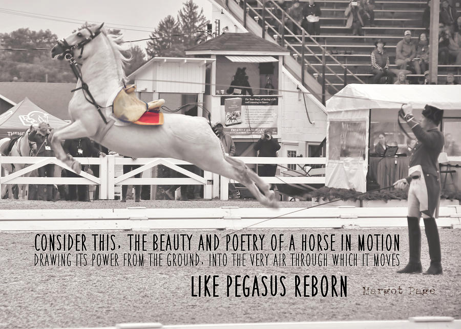 AIRS ABOVE THE GROUND quote Photograph by Dressage Design