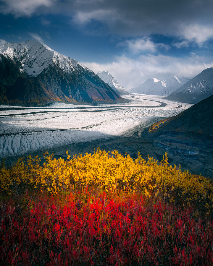 Fall Photograph - Ak Glacier by Siyu And Wei Photography