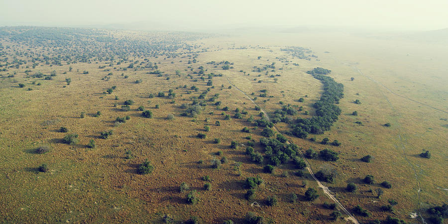Akagera National Park Aerial Photograph by Michael Sugrue