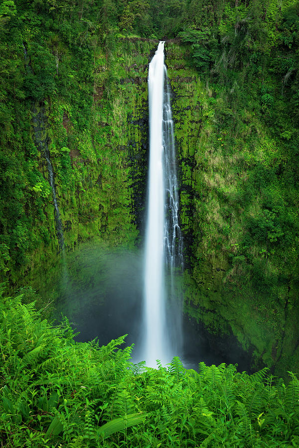 Akaka Falls, Akaka Falls State Park Photograph by Russ Bishop