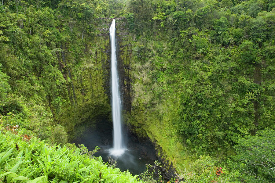 Akaka Falls, Hamakua Coast, Waimea Photograph by Lonely Planet