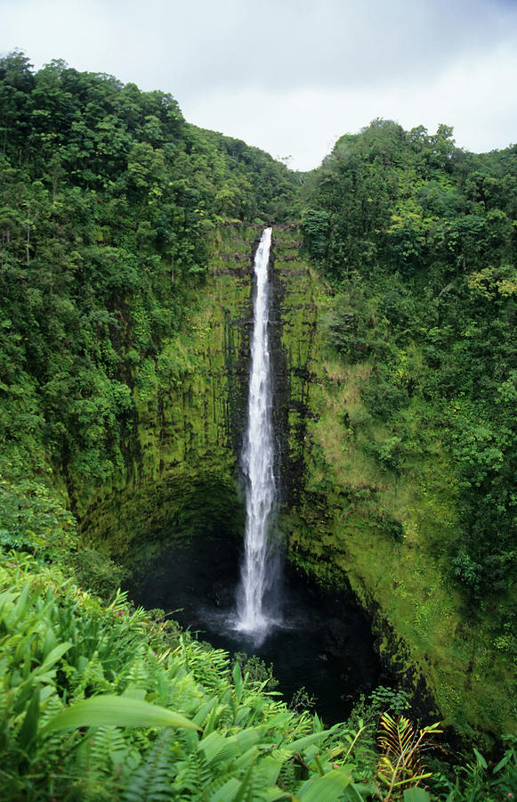 Akaka Falls, Hawai`i by Stephanhoerold