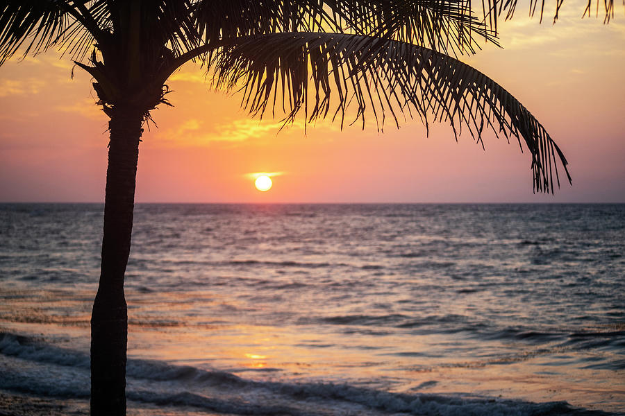 Akumal Beach Palm Tree Sunrise Akumal Mexico Photograph by Toby McGuire