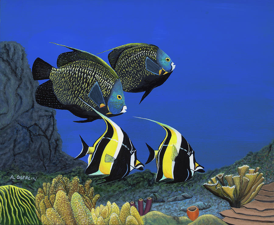 Fish Painting - Al Oberlin - French Angelfish by Al Oberlin