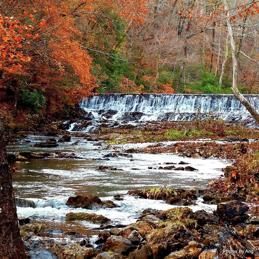 Alabama Fall Photograph by Angela Perryman - Pixels