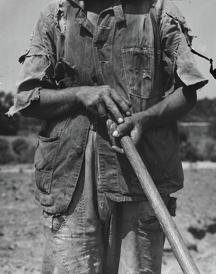 Alabama Tenant Farmer Near Anniston, 1936 Photograph by Dorothea Lange