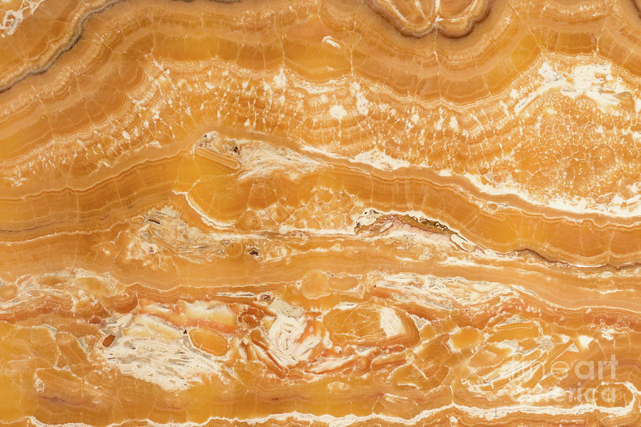 Alabaster Photograph - Alabaster Stone by Microgen Images/science Photo Library Alabaster Photograph - Alabaster Stone by Microgen Images/science Photo Library