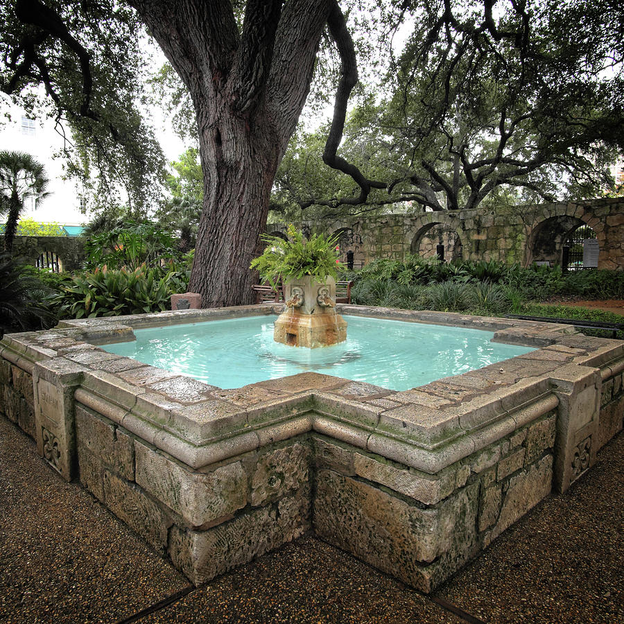 Alamo Fountain Photograph by George Taylor