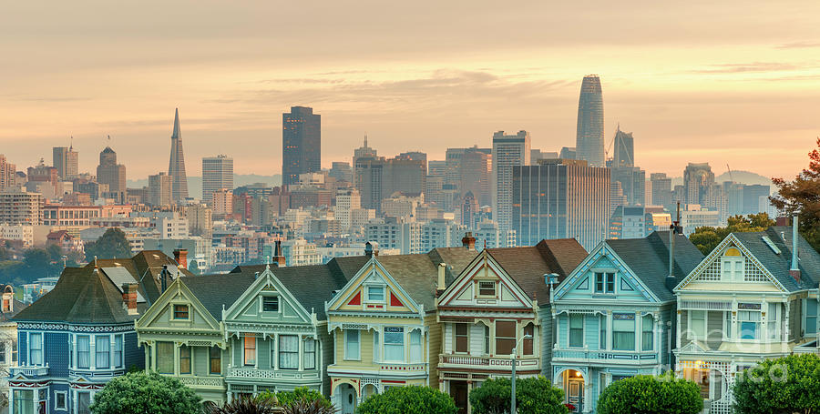 Alamo Square And Painted Ladies Photograph by Spondylolithesis