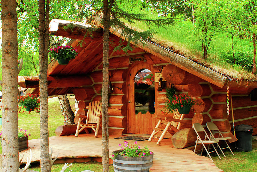 Alaska Cabin Near Talkeetna Photograph By Wayne Archer