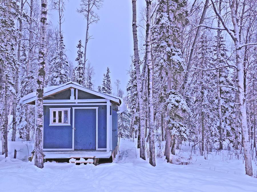 Alaska Dreaming Photograph by Diannah Lynch