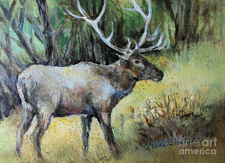 Alaska Elk Painting by Linda Shackelford