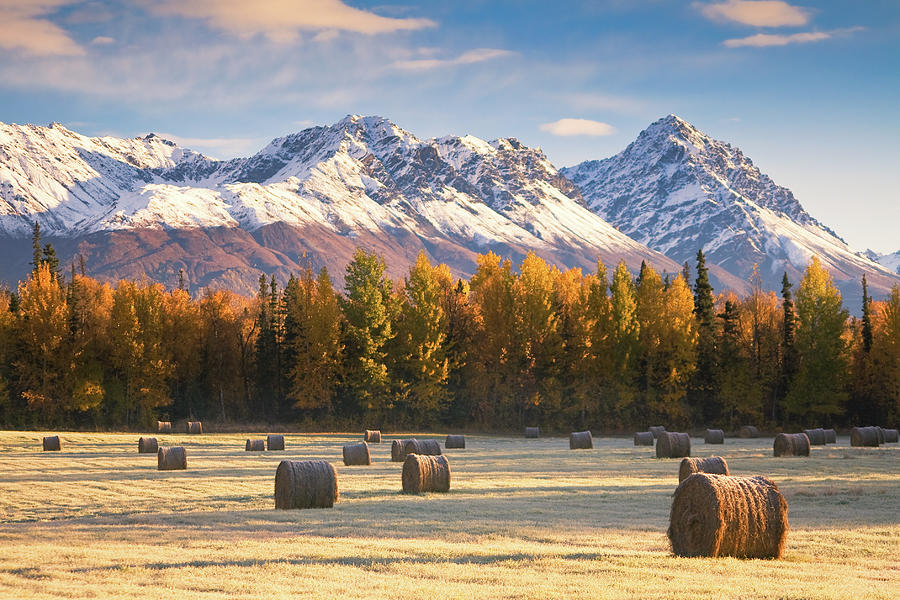 Alaska Farming Photograph by Alaska Photography