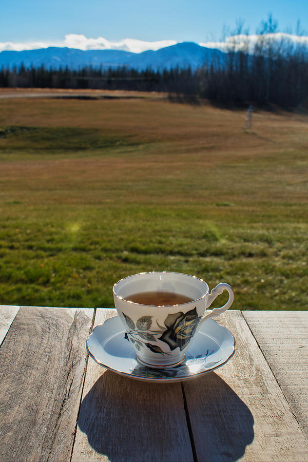 Alaska Is My Cup of Tea Photograph by Cathy Mahnke