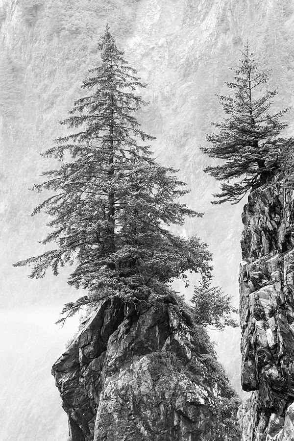 Alaska, Kenai Peninsula Photograph by Janet Muir Alaska, Kenai Peninsula Photograph by Janet Muir