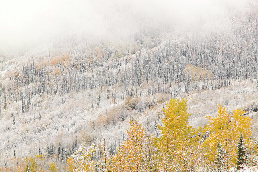 Alaska, Mccarthy, First Snow Digital Art by Walter Bibikow