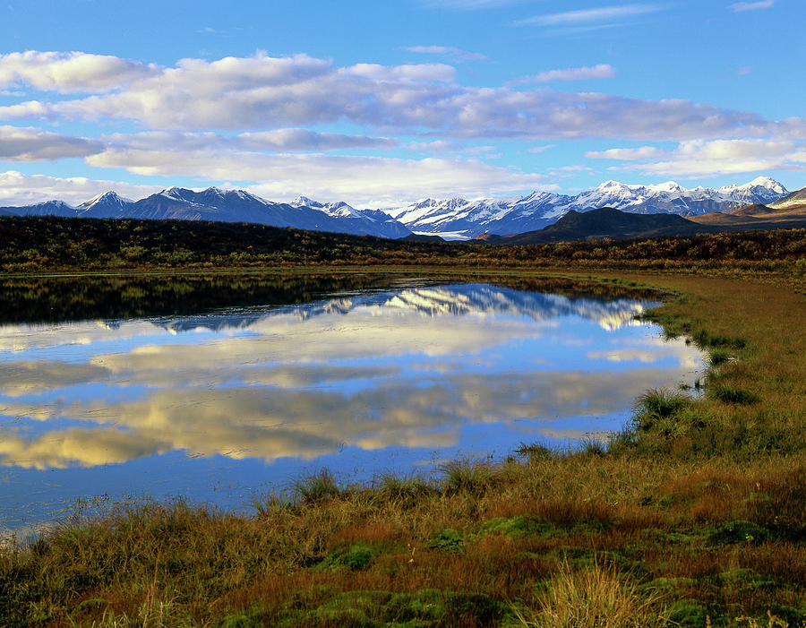 Landscape Photograph - Alaska Mountain Range And Pothole by Howie Garber