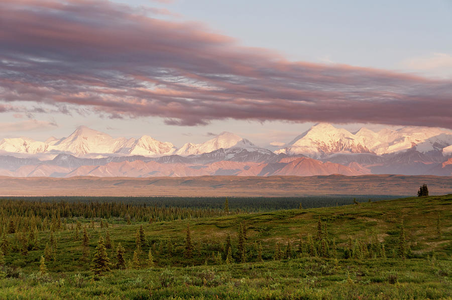 Alaska Range With Mt Brooks Photograph by John Elk