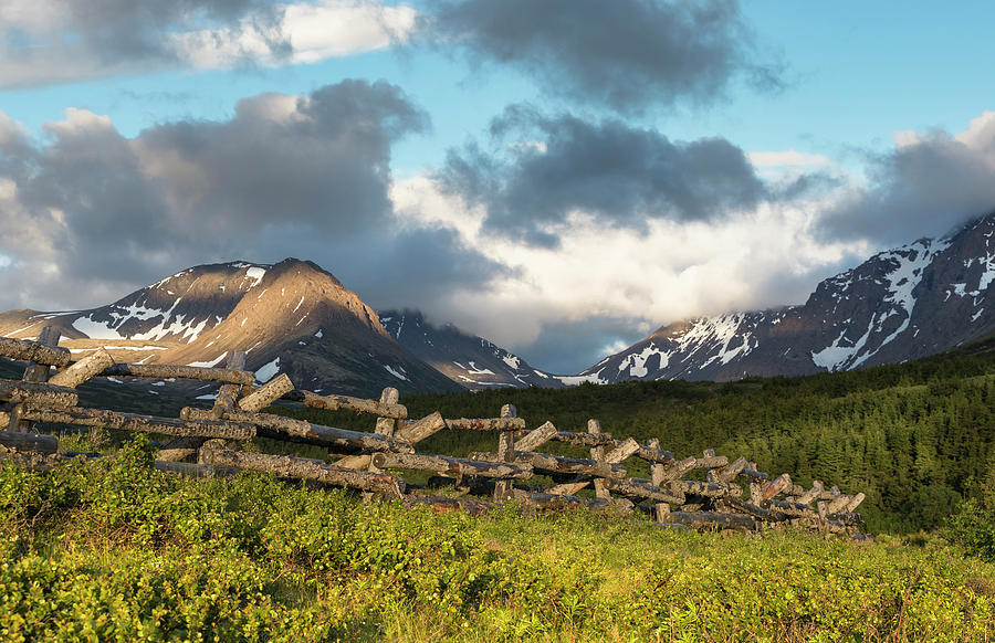 Alaska Summer Solstice Photograph by Scott Slone