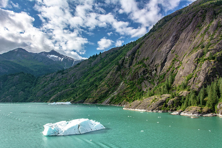 Alaskan Glacial Waters Photograph by Douglas Wielfaert