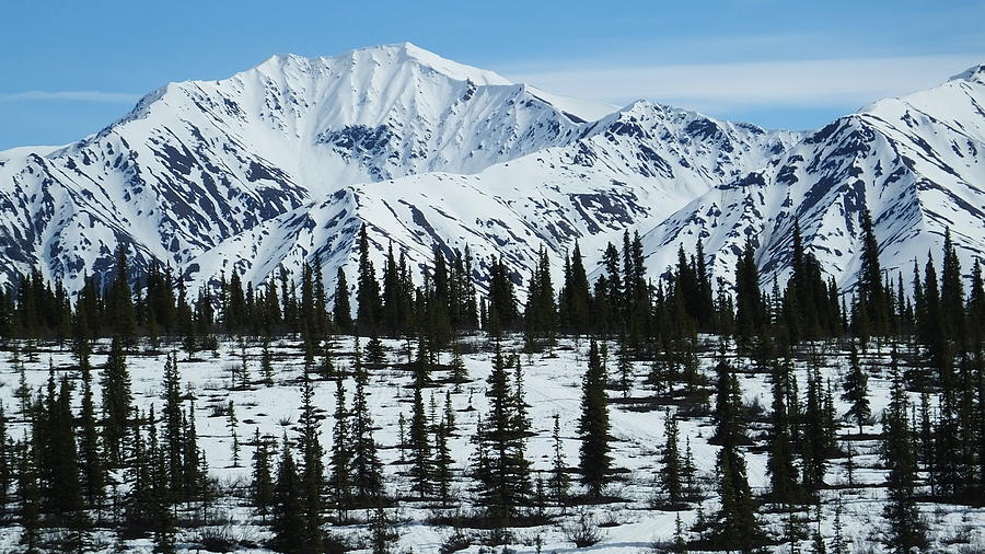 Alaskan Grandeur Photograph by Judy Wanamaker