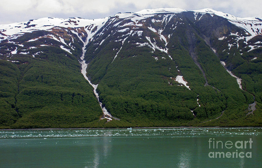 Alaskan Mountains 4 Photograph by Randall Weidner