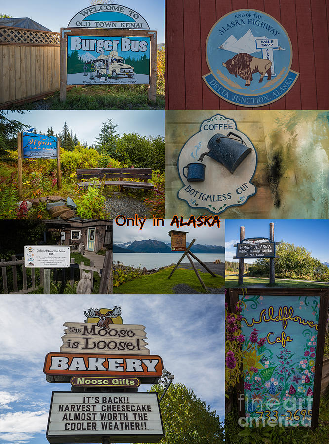 Alaskan Signs Mixed Media by Eva Lechner