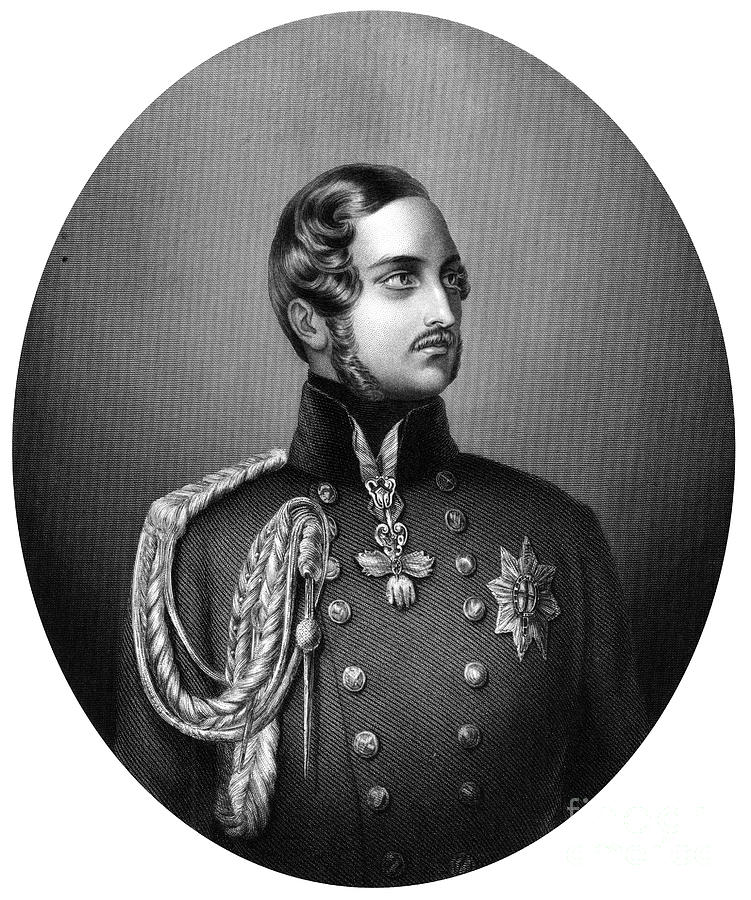 Albert 1819-1861, Prince Consort Drawing by Print Collector