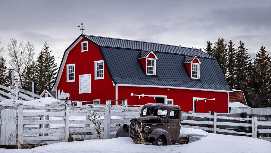 Winter Photograph - Alberta, Along Highway 6-76072 by Raimondo Restelli