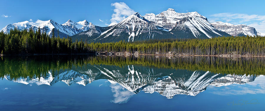 Albertas Rocky Mountains Photograph by Steven Dosremedios