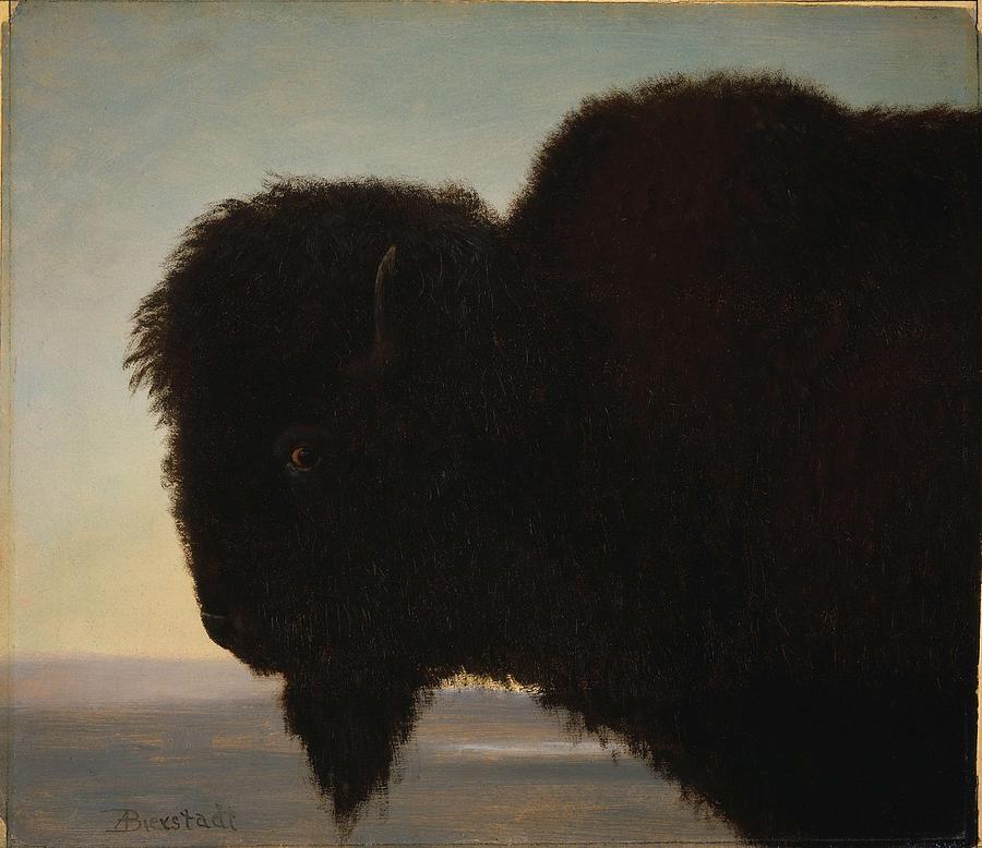 Albert_Bierstadt_-_Buffalo_Head Painting by Albert Bierstadt