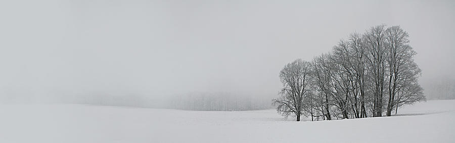 Winter Photograph - Albhochflaeche by Franz Schumacher