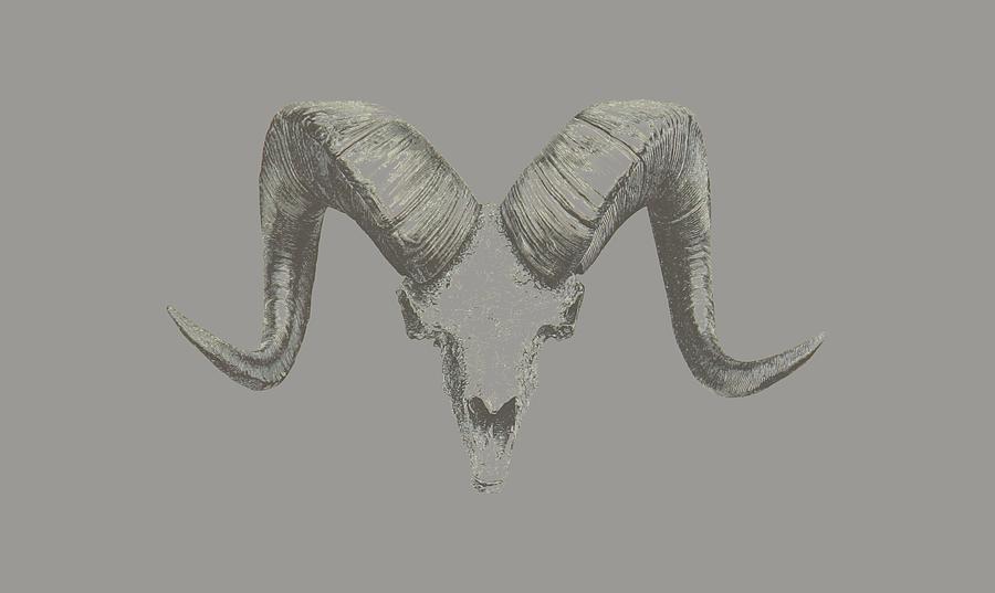 Albrecht Durer Fantasy Drawing Horns Painting by Tony Rubino