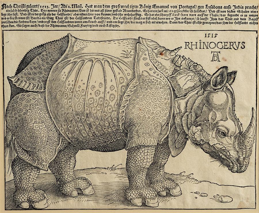 ALBRECHT DURER The Rhinoceros, 1515. National Gallery of Art, Washington DC. Drawing by Albrecht Durer -1471-1528-