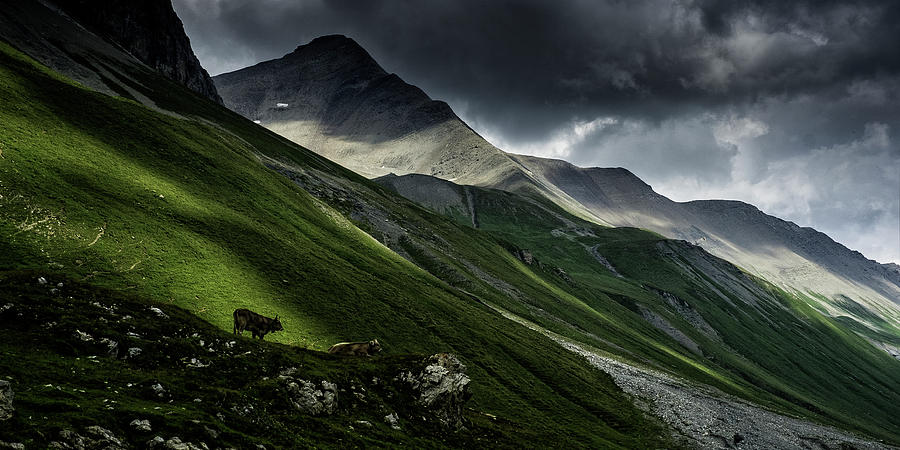 Mountain Photograph - Albula Pass, Switzerland by Vito Guarino