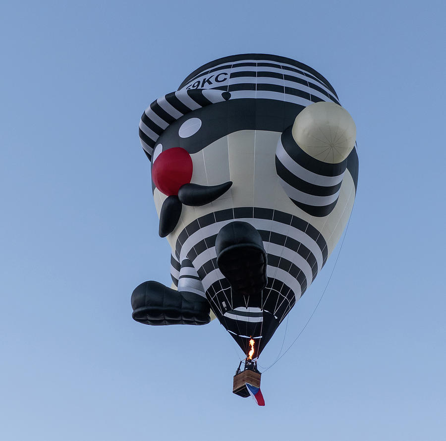 Albuquerque Balloon Fiesta 2016 - 1 Photograph by Patricia Gould