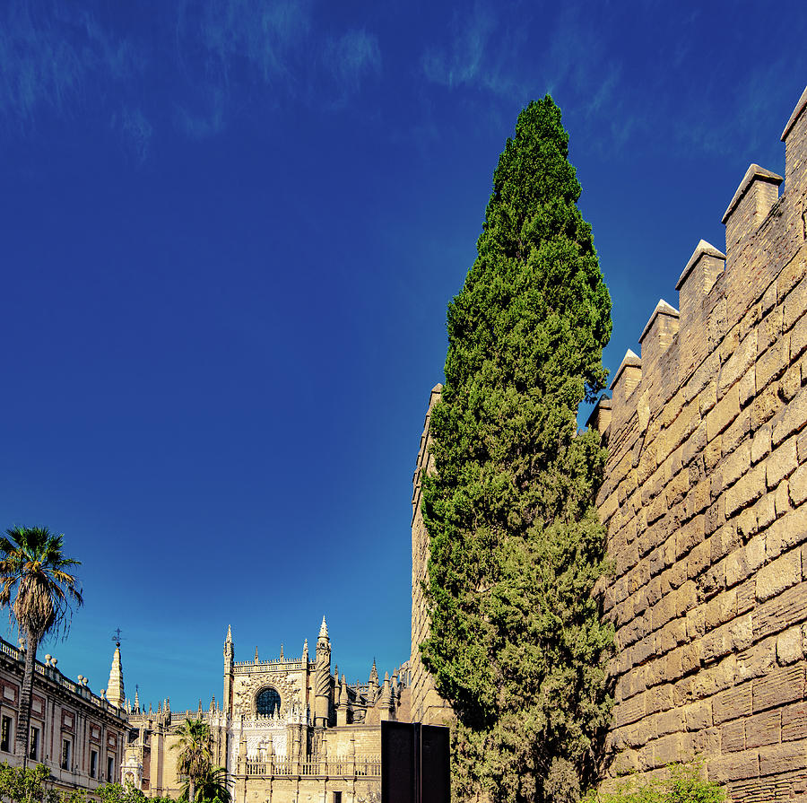 Alcazar Wall And Grounds Photograph by Steven Ainsworth