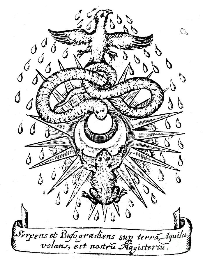 Alchemical Symbolism, 1652 Drawing by Print Collector