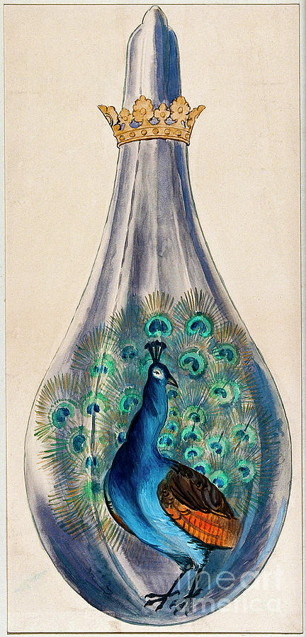 Alchemys Peacock Stage Photograph by Wellcome Images/science Photo Library