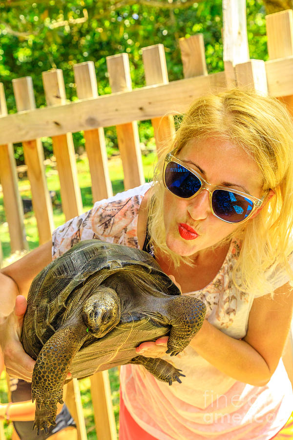 Aldabra Tortoise kissing Photograph by Benny Marty