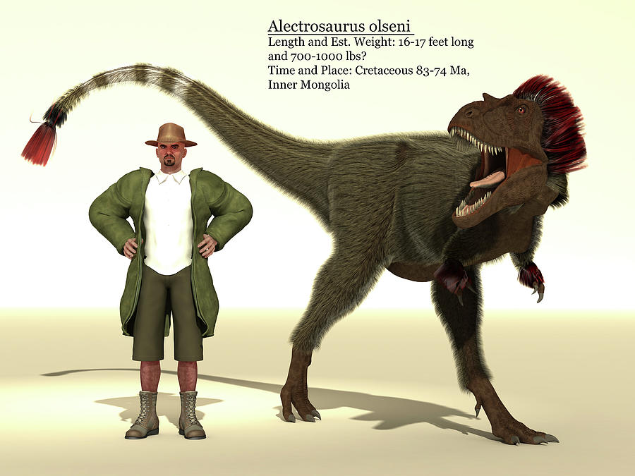Alectrosaurus Dinosaur Size Reference Photograph by Arthur Dorety
