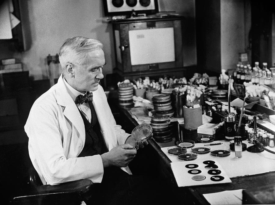 Alexander Fleming Photograph by Peter Purdy
