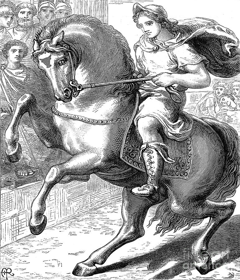 Pyrrhus Greek General Warrior Stock Illustration - Download Image Now -  Alexander the Great, Statue, Drawing - Art Product - iStock
