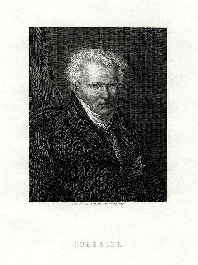 Alexander Von Humboldt, 17691859 Drawing by Print Collector Fine Art